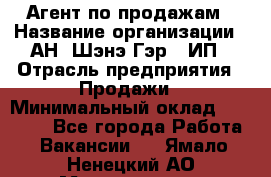 Агент по продажам › Название организации ­ АН "Шэнэ Гэр", ИП › Отрасль предприятия ­ Продажи › Минимальный оклад ­ 45 000 - Все города Работа » Вакансии   . Ямало-Ненецкий АО,Муравленко г.